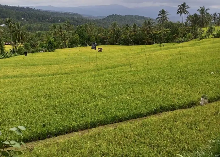 Bali Praya House Munduk